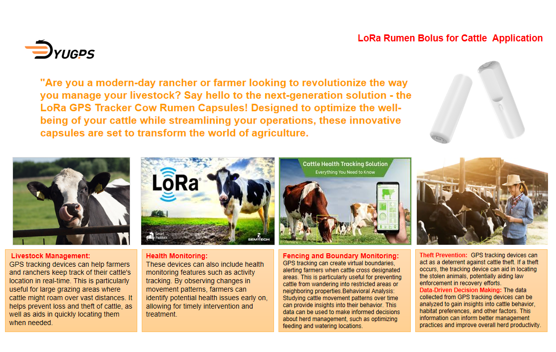 LoRa Rumen Bolus Application.png