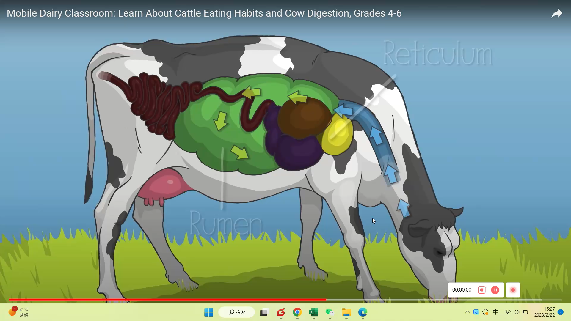 Cow 1.png